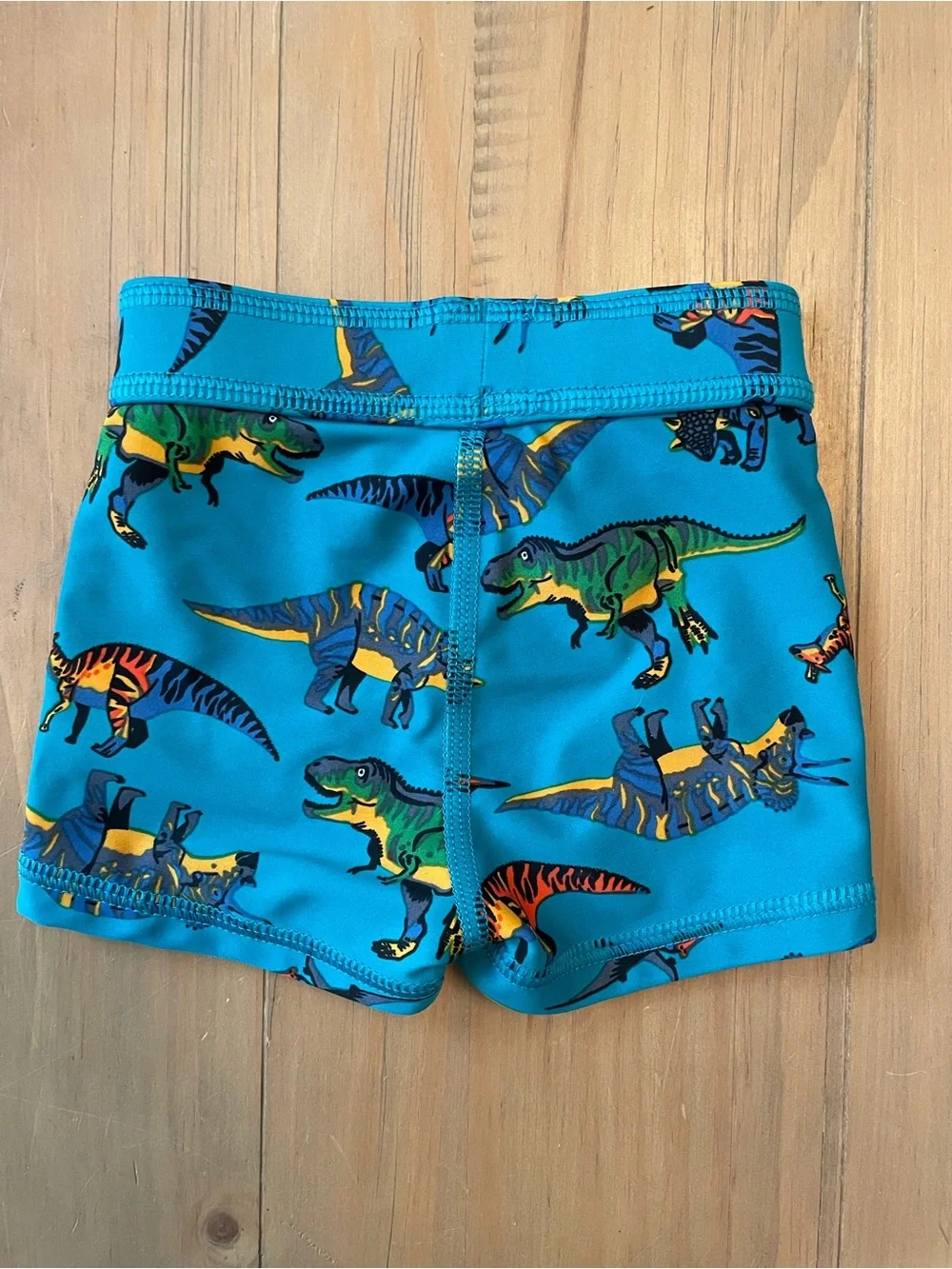 Hanna Andersson Baby 0-3 Months Dinosaur Turquoise Swim Shorts Bathing Suit
